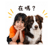 853453988