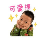 853454041