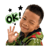 853454044