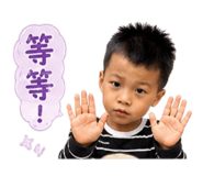 853454053