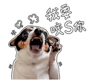 853454252