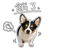 853454253