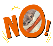 853460484