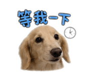 853463300