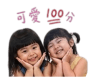 853466620