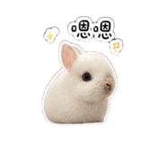 853467129