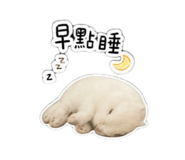 853467141