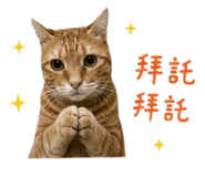 853467807