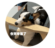 853468054