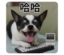 853468957