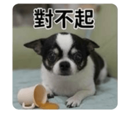 853468960