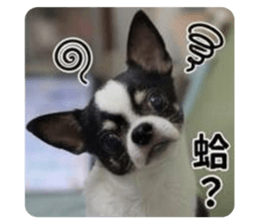 853468963