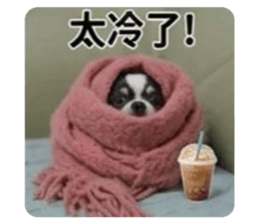 853468968