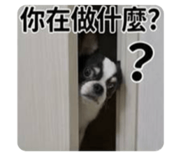 853468969