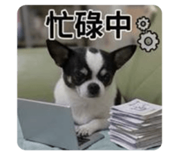 853468972