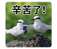 853471675