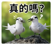 853471676
