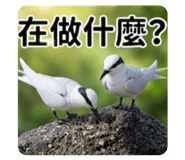 853471677