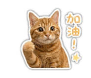 853477010