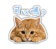 853477012