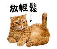 853477257