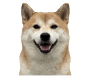 853480178