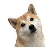 853480179
