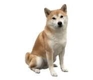 853480180