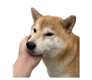 853480184