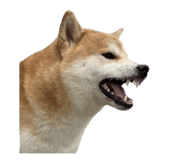 853480187