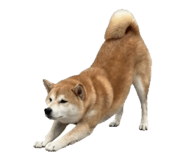 853480190