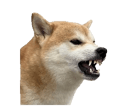 853480191