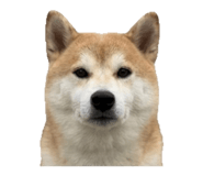 853480192