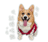 853480525