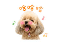 853483887