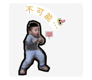 853486446