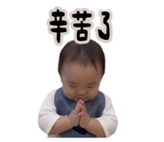 853488544