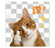 853489898
