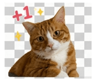 853489902