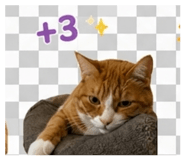 853489904