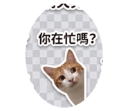 853489936