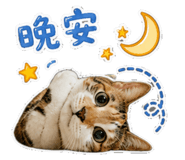 853490600