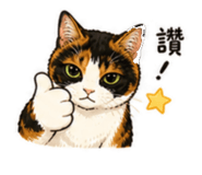 853491046