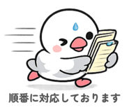 853495824