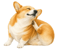 853496537