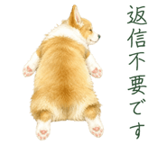 853496550