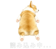 853496551