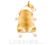 853496552