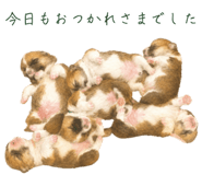 853496574