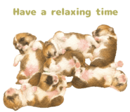 853496576